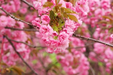 湖州吴兴区1线下个人借款平台一站式服务，轻松解决资金难题