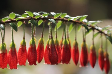 湖州吴兴区1零用贷短借：轻松解决临时资金需求