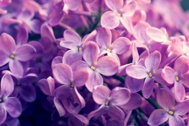 湖州吴兴区1企业急用钱贷款攻略：快速融资解燃眉之急